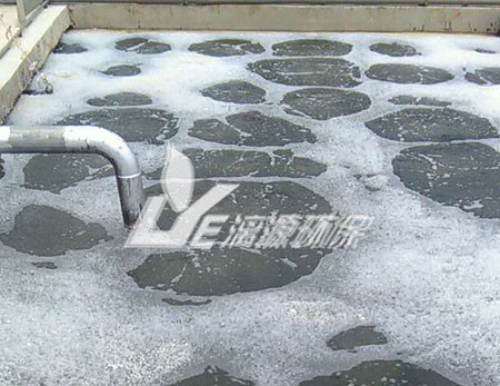 杏鲍菇废水处理该选用“混凝沉淀”还是“混凝气浮”？