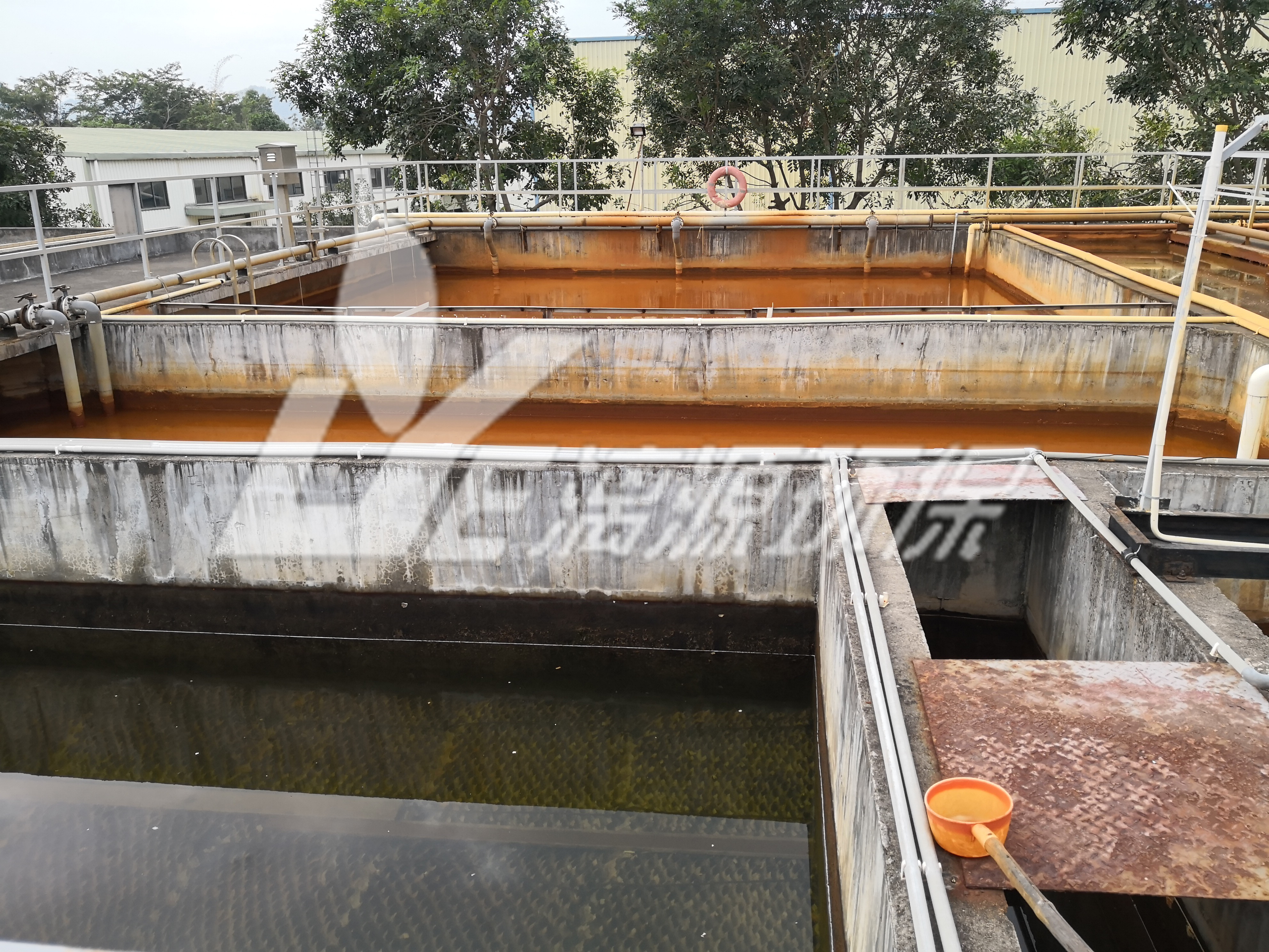餐厨污水处理中隔油池泡沫产生的原因及消泡方法