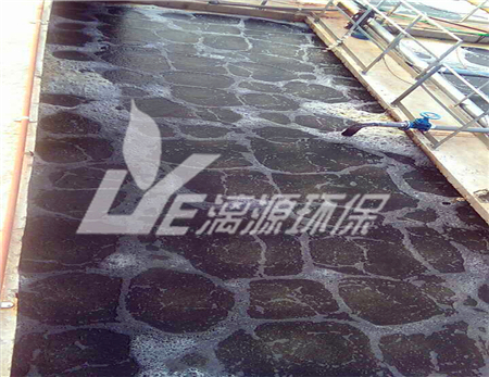 绵羊奶加工废水如何处理
