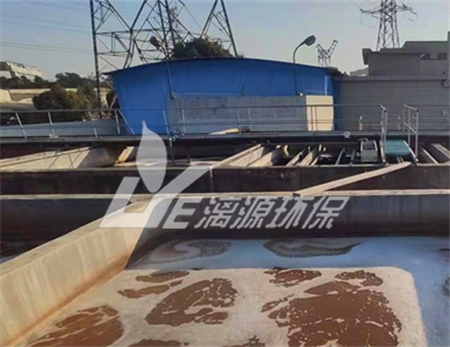 涂装工业磷化废水处理工艺