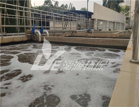 水果罐头废水处理工艺