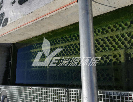 肉类加工废水处理设备工艺