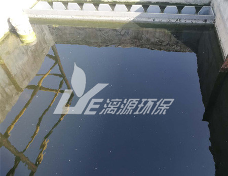 紫菜加工厂清洗污水处理